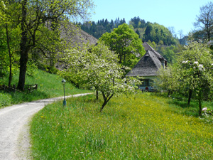         Hofgut Sternen, H&ouml;llsteig
